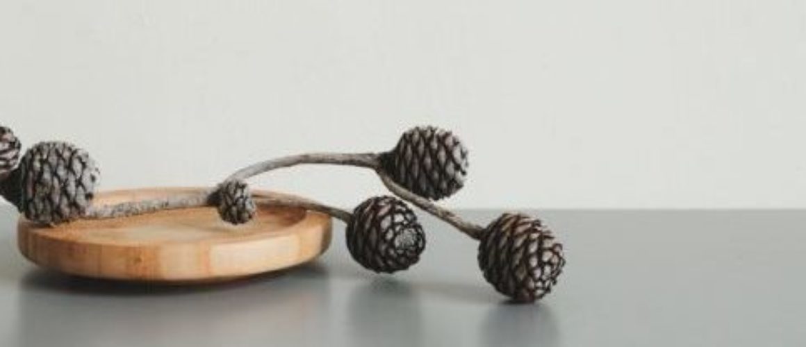 Off white paint by Micca