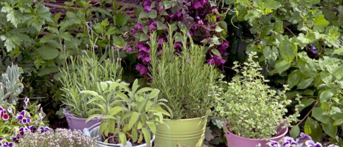 Paint colors for spring