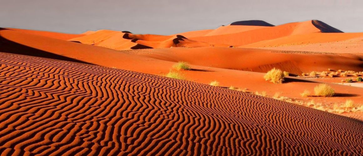 Couleurs chaudes cet été